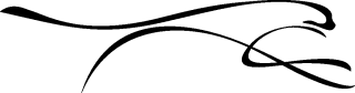 - Motiv Nr.:&nbsp;Puma_86 