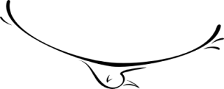 - Motiv Nr.:&nbsp;exqbird_17 