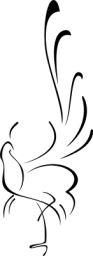 - Motiv Nr.:&nbsp;exqbird_41 