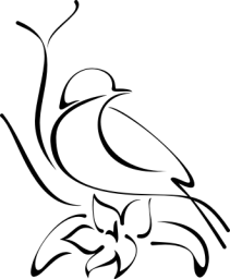 - Motiv Nr.:&nbsp;exqbird_42 