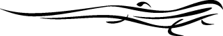 - Motiv Nr.:&nbsp;salamander_35 