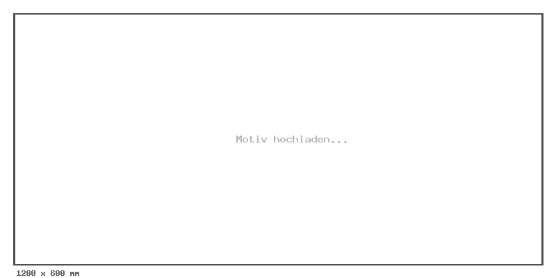 Heckscheiben-Vorschau