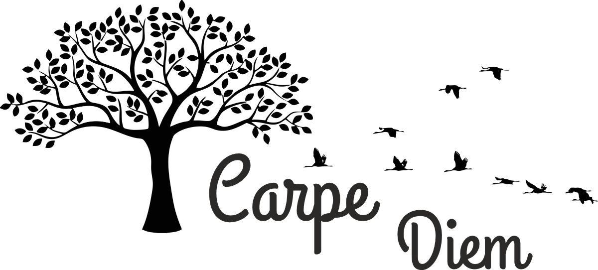 WohnmobilSprüche Carpe diem als Urlaubs und Lebensmotto