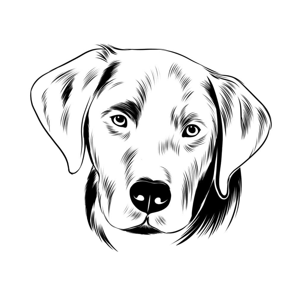 dogprints aufkleber 'eigener hund' - printsalat grafik design  textilveredelung dogprints