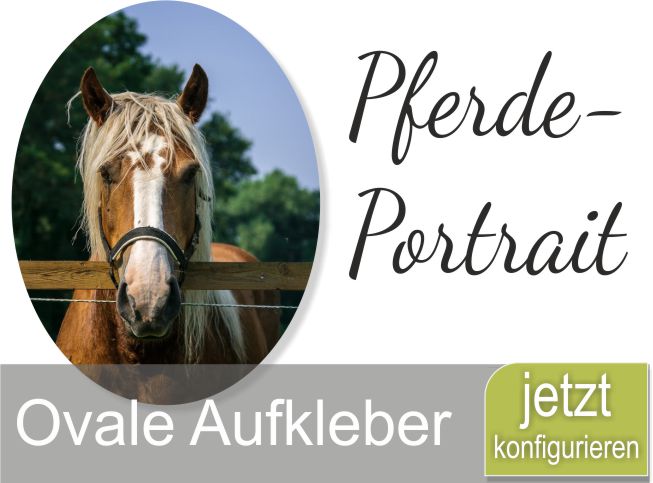 Tierfotografie Pferde Portrait Aufkleber nach deinem Pferdefoto