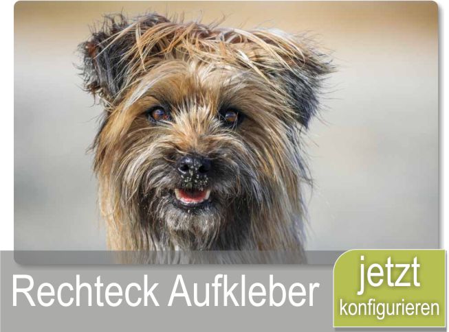 Tierfotografie Dein Hundefoto als XXL Aufkleber für Wohnwagen oder Wohnmobil